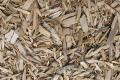 biomass boilers Etal