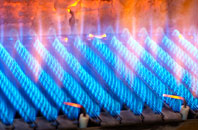 Etal gas fired boilers